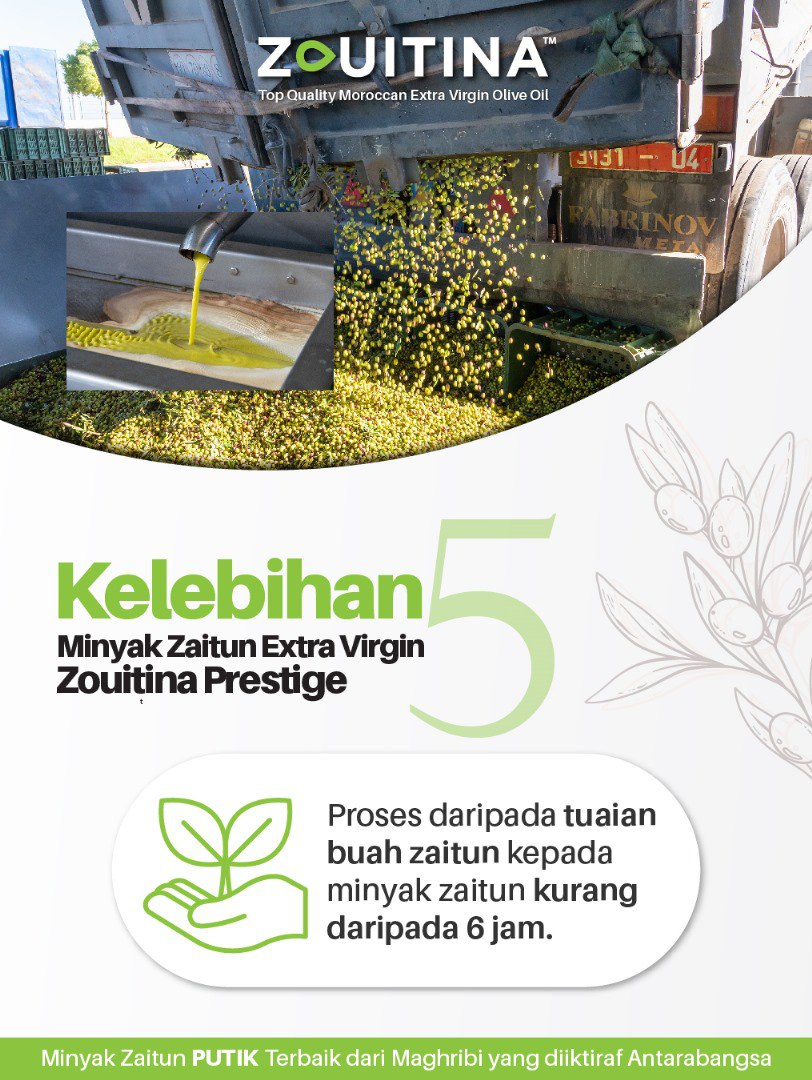 kelebihan Minyak zaitun